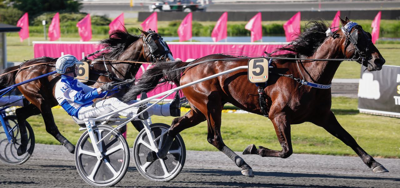 COKSTILE NY VINNARE I ELITLOPPET 2020